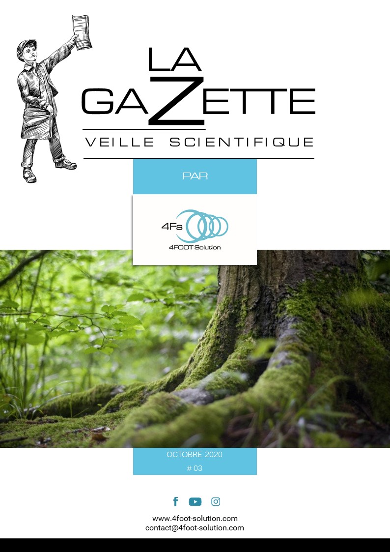 #3 Gazette octobre 2020